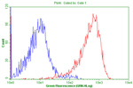 CD99 Antibody in Flow Cytometry (Flow)