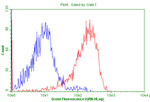 CD99 Antibody in Flow Cytometry (Flow)