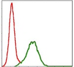 CD9 Monoclonal Antibody (5G6)