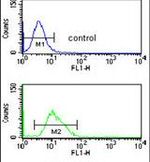 Cdc14B Antibody in Flow Cytometry (Flow)