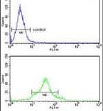 Cdc20 Antibody in Flow Cytometry (Flow)