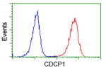 CDCP1 Antibody in Flow Cytometry (Flow)