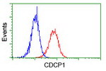 CDCP1 Antibody in Flow Cytometry (Flow)