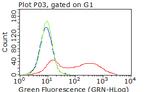 CDH2 Antibody in Flow Cytometry (Flow)
