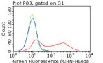 CDH2 Antibody in Flow Cytometry (Flow)