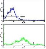 P-cadherin Antibody in Flow Cytometry (Flow)
