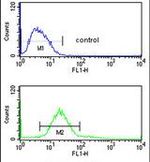 CDIPT Antibody in Flow Cytometry (Flow)