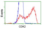 CDK2 Antibody in Flow Cytometry (Flow)