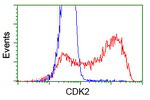 CDK2 Antibody in Flow Cytometry (Flow)