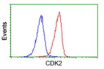 CDK2 Antibody in Flow Cytometry (Flow)