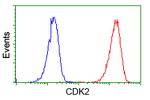 CDK2 Antibody in Flow Cytometry (Flow)