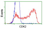 CDK2 Antibody in Flow Cytometry (Flow)