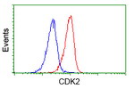 CDK2 Antibody in Flow Cytometry (Flow)