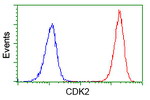 CDK2 Antibody in Flow Cytometry (Flow)