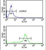 CDK5RAP1 Antibody in Flow Cytometry (Flow)
