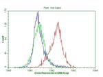 CDKN2A Antibody in Flow Cytometry (Flow)