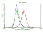 CDKN2A Antibody in Flow Cytometry (Flow)