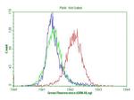 CDKN2A Antibody in Flow Cytometry (Flow)