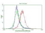 CDKN2A Antibody in Flow Cytometry (Flow)