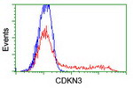 CDKN3 Antibody in Flow Cytometry (Flow)
