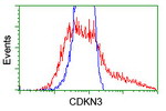 CDKN3 Antibody in Flow Cytometry (Flow)