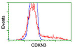 CDKN3 Antibody in Flow Cytometry (Flow)