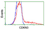 CDKN3 Antibody in Flow Cytometry (Flow)