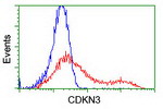 CDKN3 Antibody in Flow Cytometry (Flow)