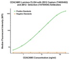 CEA (CEACAM5) Antibody in Luminex (Luminex)