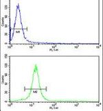 CENPH Antibody in Flow Cytometry (Flow)
