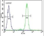 BITE Antibody in Flow Cytometry (Flow)