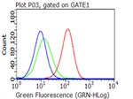 CD27 Antibody in Flow Cytometry (Flow)