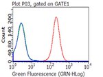 CD27 Antibody in Flow Cytometry (Flow)