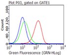CD27 Antibody in Flow Cytometry (Flow)