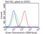 CD27 Antibody in Flow Cytometry (Flow)
