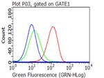 CD27 Antibody in Flow Cytometry (Flow)