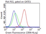 CD27 Antibody in Flow Cytometry (Flow)