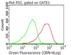 CD40 Antibody in Flow Cytometry (Flow)