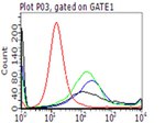 PD L1 (CD274) Antibody in Flow Cytometry (Flow)