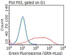 p75 NGF Receptor (NGFR) Antibody in Flow Cytometry (Flow)