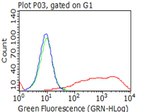 p75 NGF Receptor (NGFR) Antibody in Flow Cytometry (Flow)
