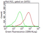 CD40 Antibody in Flow Cytometry (Flow)