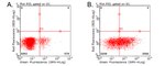 CD137 (TNFRSF9) Antibody in Flow Cytometry (Flow)