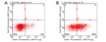 CD137 (TNFRSF9) Antibody in Flow Cytometry (Flow)