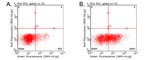 CD137 (TNFRSF9) Antibody in Flow Cytometry (Flow)