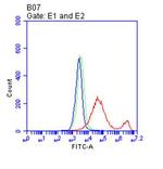 CD38 Antibody in Flow Cytometry (Flow)