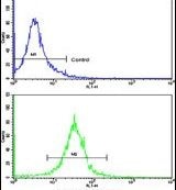 CFHR1 Antibody in Flow Cytometry (Flow)