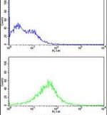 RCBTB2 Antibody in Flow Cytometry (Flow)