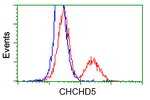 CHCHD5 Antibody in Flow Cytometry (Flow)