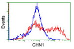 CHN1 Antibody in Flow Cytometry (Flow)
